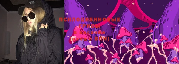 дмт Алексин