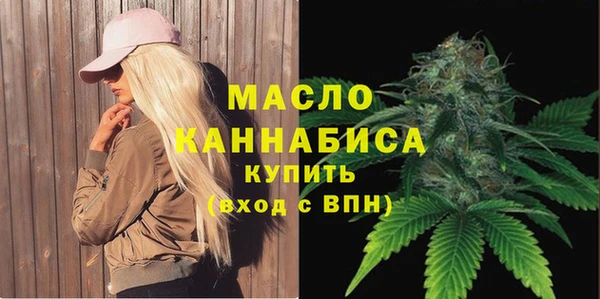 дмт Алексин